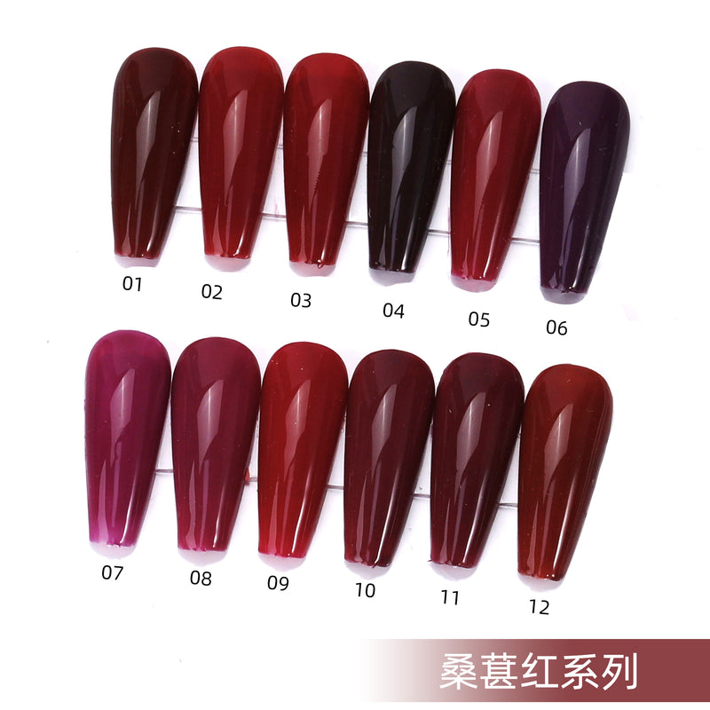 NGMB003 12 sticks of nail polish gel set
