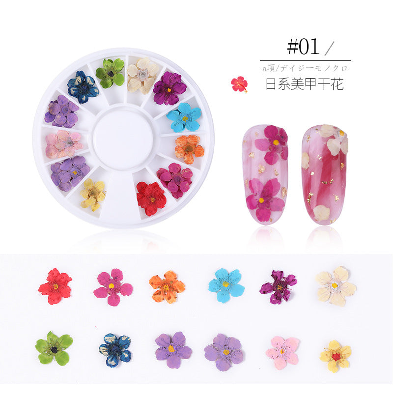Nail Stickers NS006